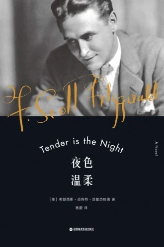 《夜色温柔》电子书下载：PDF｜ePub｜mobi｜azw3｜菲茨杰拉德