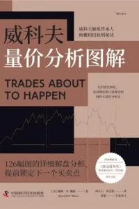 《威科夫量价分析图解》电子书下载：PDF｜ePub｜mobi｜azw3｜戴维·H. 魏斯